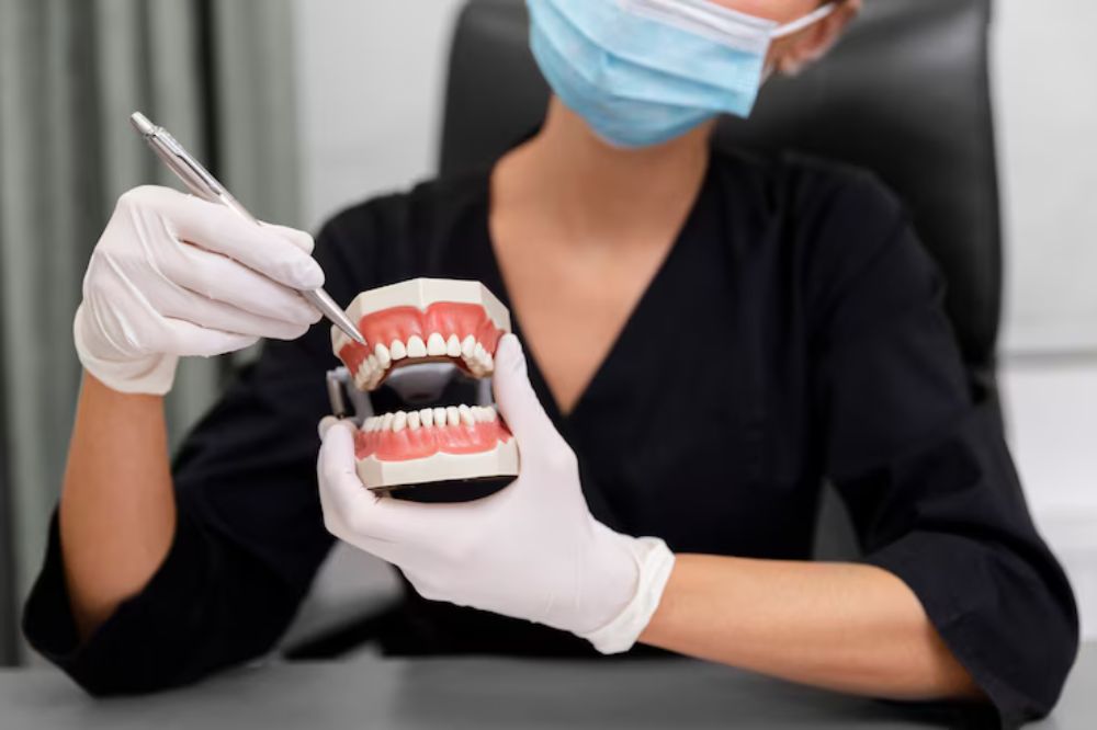 dentist is showing dental implants