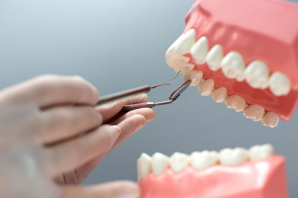 a dentist is checking a dental implants demo